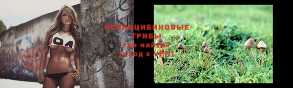 сатива Абаза