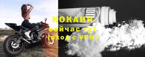 дживик Семилуки