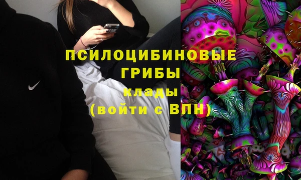 дживик Семилуки