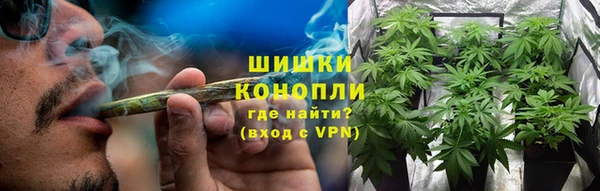 дживик Семилуки
