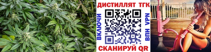 это как зайти  Зерноград  Дистиллят ТГК гашишное масло 