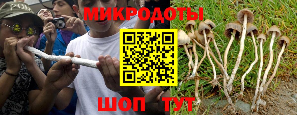 Псилоцибиновые грибы мухоморы  Вход с VPN  Галлюциногенные грибы Cubensis  Зерноград 
